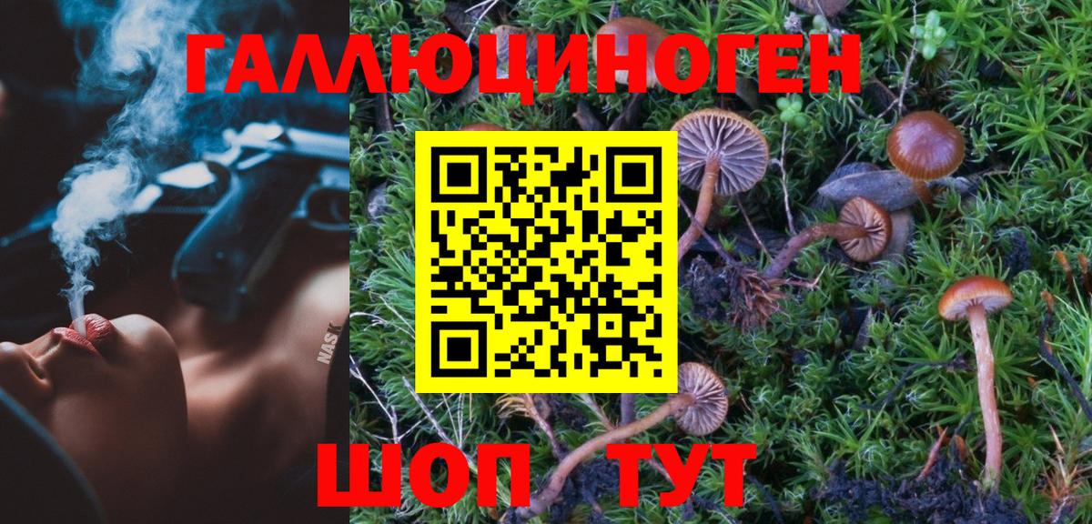 Нурлат  Псилоцибиновые грибы Psilocybe  дарнет шоп  Галлюциногенные грибы Psilocybine cubensis  Вход с VPN 
